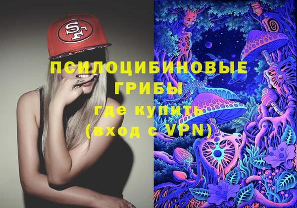 шишки Усинск