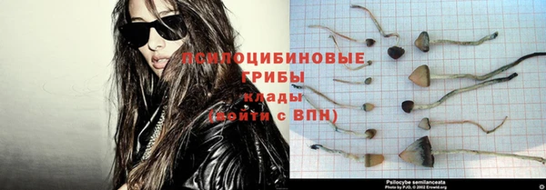 сатива Армянск