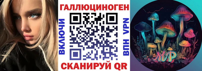 цены   Волгоград  Псилоцибиновые грибы GOLDEN TEACHER 