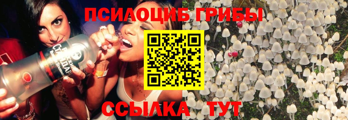 Галлюциногенные грибы GOLDEN TEACHER Волгоград