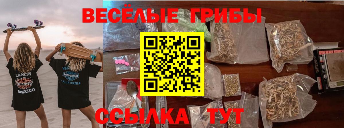 хочу   Вход с VPN  Волгоград  Псилоцибиновые грибы MAGIC MUSHROOMS  Псилоцибиновые грибы Psilocybe 